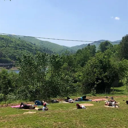 La Rosa Sul Lago *